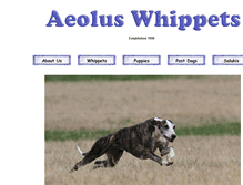 Tablet Screenshot of aeoluswhippets.com